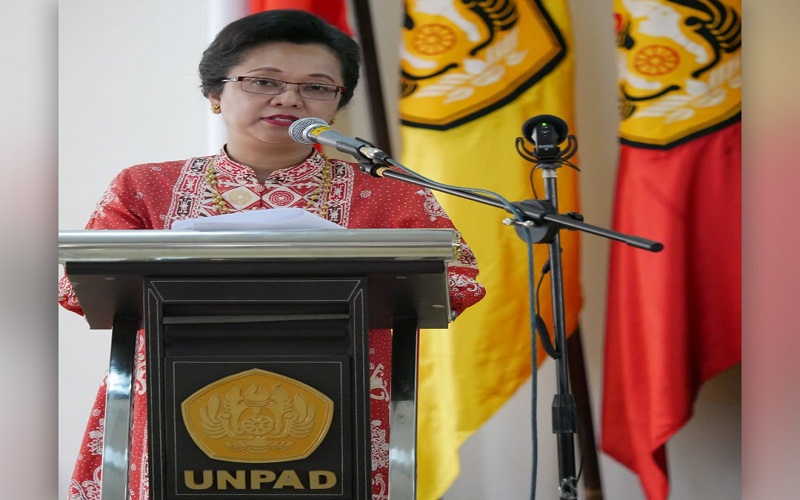 Kiprah Prof Dr Armida Salsiah Alisjahbana Di Pbb