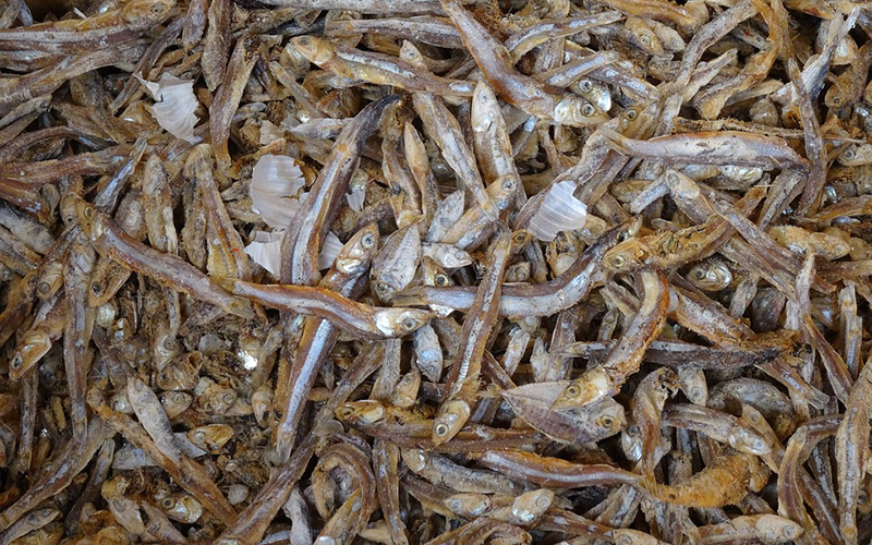 4 Cara Menyimpan Ikan Asin