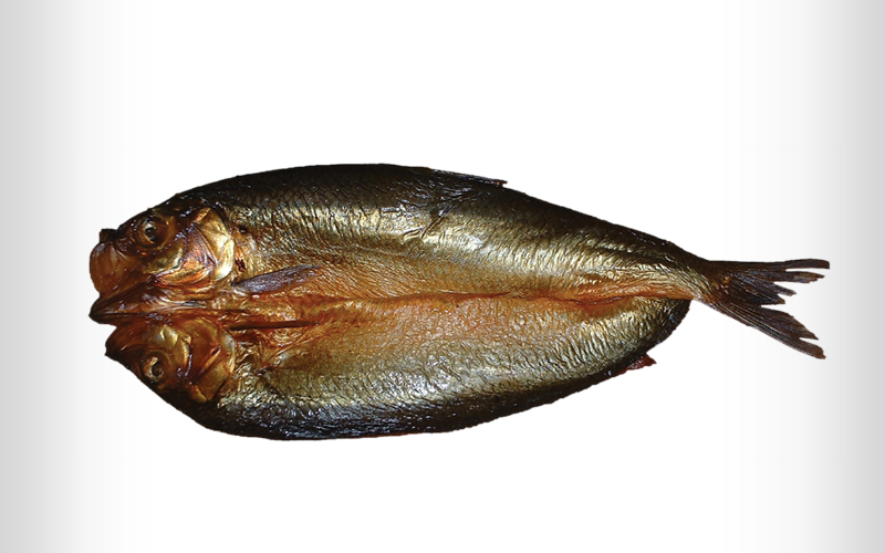 6 Produk Pengawetan Ikan Favorit Dari Seluruh Dunia