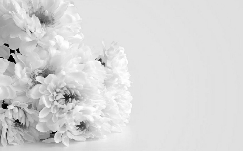 463 Background Bunga Duka Pics - MyWeb