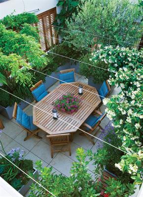 Memilih Tanaman Untuk Rooftop Garden